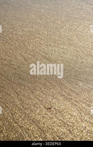 Bright beach sand sparkles under sunlight during the day. The shoreline has gentle waves approaching. Footprints can be seen in the soft sand nearby. Stock Photo