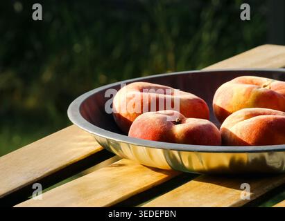 Fresh flat peaches in a metal bowl on a wooden outdoor table, evoking summer harvest vibes and natural organic fruit aesthetics. Stock Photo