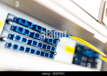 Closeup of a fiber optic patch panel showcasing blue connectors and yellow cables, highlighting modern technology in network infrastructure and commun Stock Photo