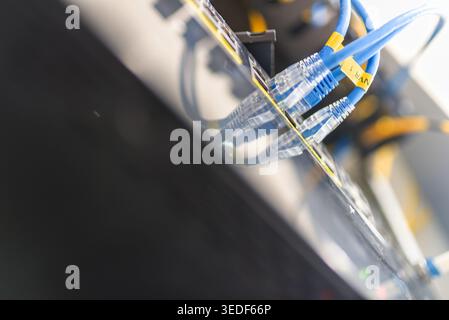 An abstract close-up of network cables connected to a switch panel, showcasing the importance of data connections in modern technology and infrastruct Stock Photo