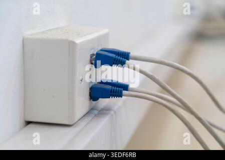 A close-up view of Ethernet cables plugged into a wall socket, demonstrating modern networking technology and communication infrastructure in various Stock Photo