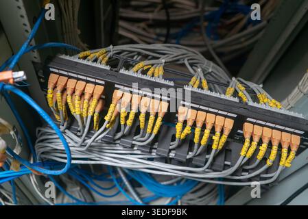 Close-up of a fiber optic patch panel showcasing organized cables. This image illustrates the intricate setup of network connections in a server envir Stock Photo