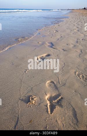 Footprints at waters edge on Fuervteventura beach Stock Photo