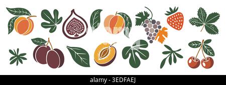 Set of Fruit and leaves in warm, hand-drawn style Stock Vector