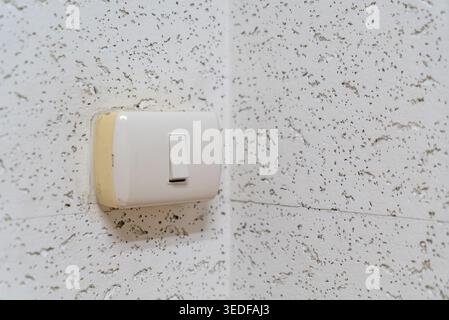 A close-up view of a simple light switch mounted on a textured wall, showcasing modern design elements in a cozy interior space, ideal for home decor Stock Photo