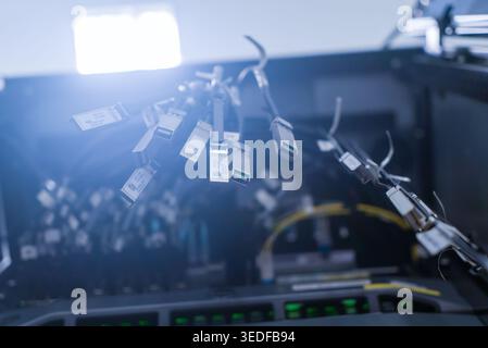 Detailed view of network cables connected to a server rack, displaying advanced technology and infrastructure for data management and communication. Stock Photo