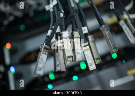 Close-up of various data cables connected to network devices in a data center, showcasing modern technology and organized infrastructure for efficient Stock Photo