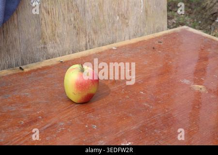 A single apple rests on a wooden table. The table is in an outdoor area surrounded by greenery. Sunlight shines softly on the scene. The apple has a mix of red and yellow colors Stock Photo