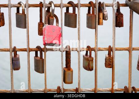 Lovers' padlocks on bridge, Wellington, North Island, New Zealand Stock Photo