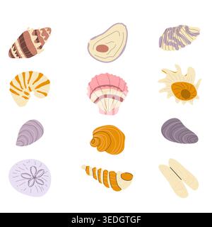 Set of seashells illustrated in a cartoon flat style. Collection of shells Abalone, Cowrie, Auger, Olive, Moon snail shell, Limpet, Razor clam, Turban Stock Vector