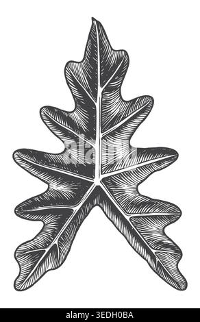 A meticulously detailed engraving of a deeply lobed tropical leaf, like the Philodendron Xanadu. Excellent for summer resort branding, eco-friendly pa Stock Vector