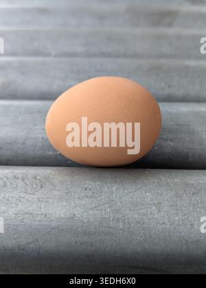 Brown Egg Resting On Gray Slats, Calm Minimalist Composition With Soft Shadows And Matte Shell Texture, Closeup Focus Highlighting Subtle Curve And Pa Stock Photo