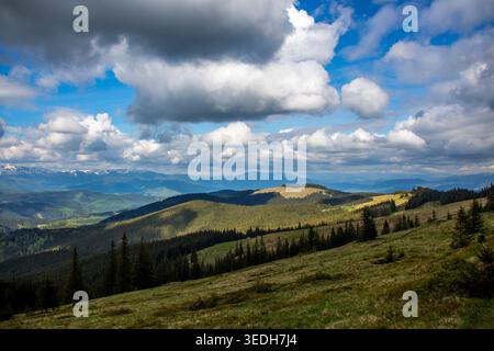 Sunlit patches drift across rolling spruce covered hills while dramatic clouds gather above distant ranges. The sweeping view captures the rhythm of w Stock Photo