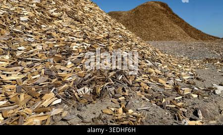 Piles of wood chips and sawdust in a lumber yard under a clear blue sky, showcasing the texture and color variations of the wood material Stock Photo