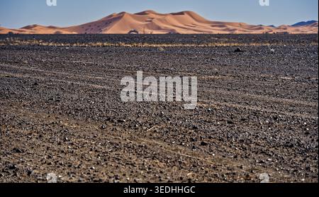 Vast moroccan desert landscape with a rocky gravel reg in the foreground leading to golden sand dunes under a clear blue sky, evoking isolation, heat Stock Photo