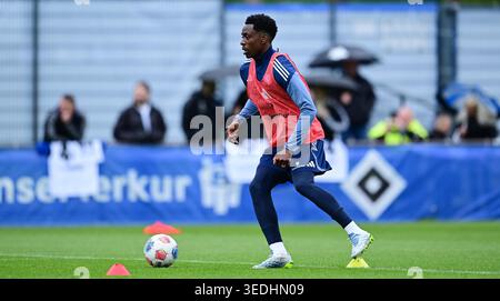 Albert Sambi Lokonga (HSV Hamburg) Hamburg, October 4, 2026, Football ...
