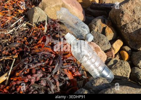 Plastic water bottles waste on the sandy beach Stock Photo