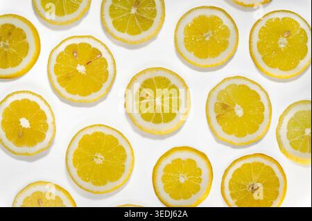 Multiple fresh lemon slices arranged in a flat lay pattern on a white background, showing the juicy yellow pulp and white pith in a minimalist food ph Stock Photo