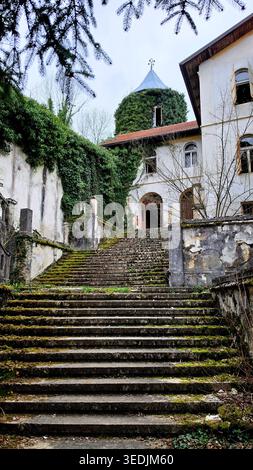 Wide stone steps covered in green moss ascend toward a weathered castle building. An ivy covered tower and arched doorways create a mysterious Stock Photo