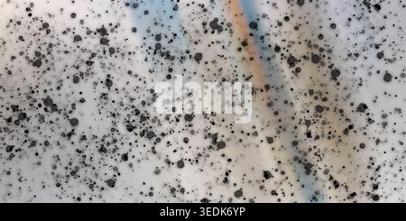 An abstract background featuring black ink splatters and dots against a light, textured surface with faint, ethereal rainbow-colored light streaks. Stock Photo