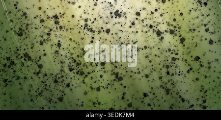 An abstract background featuring soft diagonal green light rays and a scattered pattern of black ink splatters and dots. Stock Photo