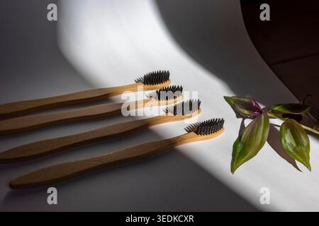 Four bamboo toothbrushes on white background in dramatic sunlight, minimal eco bathroom setup. Concept: zero waste hygiene Stock Photo
