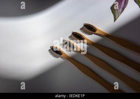 Four bamboo toothbrushes on white background in dramatic sunlight, minimal eco bathroom setup. Concept: zero waste hygiene Stock Photo