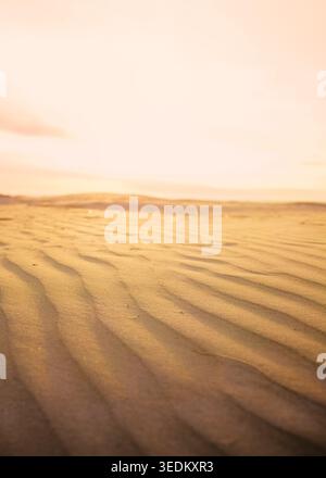 Patterns shaped by Baltic wind ripple across golden sand in warm sunset light on the beach, creating a quiet minimalist coastal scene. Abstract nature Stock Photo