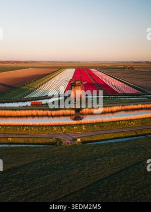 Historic windmill beside a calm canal in Kinderdijk, Netherlands ...
