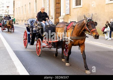 Horse-drawn carriages travel through Central Park in New York this ...
