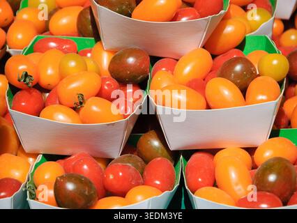 Organic cherry tomatoes at farmers market in Paris (France) Stock Photo