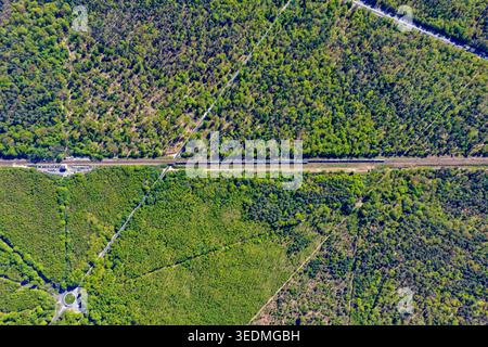 Aerial view of a passenger train traveling on tracks through the lush green Forest of Fontainebleau with surrounding woodland and rural roads in Fonta Stock Photo