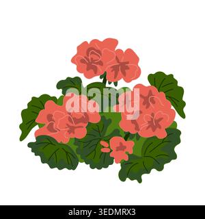 Geranium flowers isolated on a white background. Vector illustration. Stock Vector