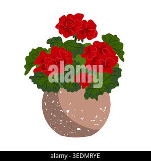 Potted Geranium flowers isolated on a white background. Vector illustration Stock Vector