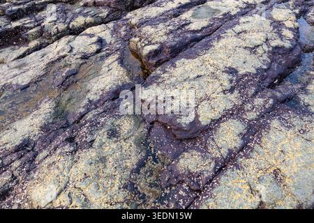 Rocky Seashore Boulders Texture Background in Natural Light Stock Photo