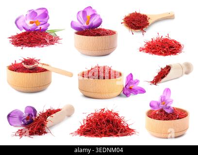 Saffron and crocus flowers isolated on white, set Stock Photo