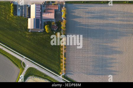 Aerial view of farm buildings with solar panels and long tree shadows across plowed fields in Flevopolder Lelystad, Flevoland, Netherlands. Stock Photo