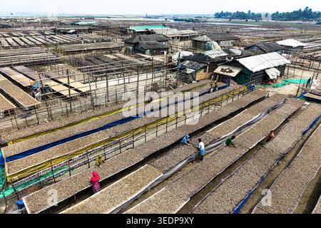 Cox's Bazar, Bangladesh - 11 March 2026: Aerial view of workers tending to rows of fish drying on wooden racks in a large outdoor processing yard unde Stock Photo