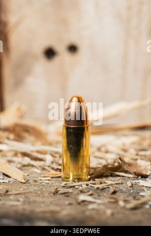 Macro shot of a 9mm pistol cartridge standing on wood splinters against a wooden bullet trap wall with impact holes. Stock Photo