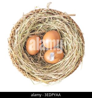 Top view of natural brown chicken eggs lying in a straw nest, isolated against a white background with a clipping path. Stock Photo