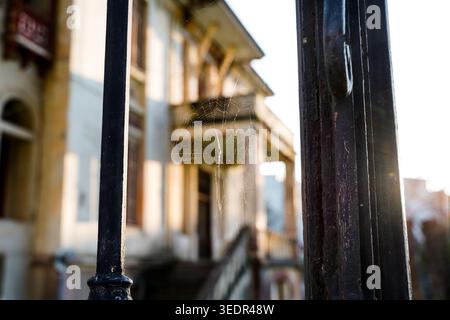 Spider Web on Rusted Gate With Abandoned Mansion in Background, Mytilini, Lesbos, Greece Stock Photo