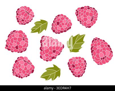Fresh pink raspberries with green leaves vector set Stock Vector