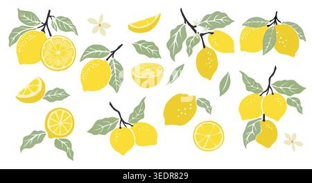 Vibrant lemons set with leaves and blossoms Stock Vector