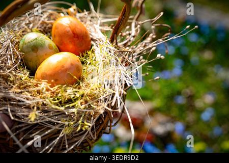 Home made willow basket with easter eggs in a spring meadow with colorful flowers. Stock Photo