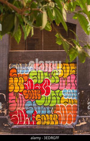 Vertical view of a metal storefront shutter covered in colorful graffiti beneath a dark building facade, with green tree leaves hanging in the foregro Stock Photo