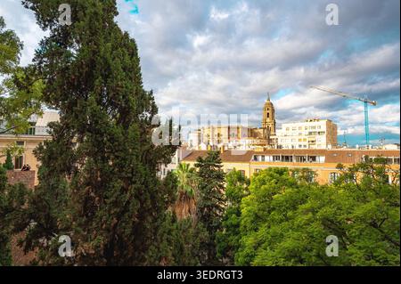 View of Malaga Cathedral and nearby city buildings rising above lush green trees under a cloudy sky, with a construction crane visible on the right si Stock Photo