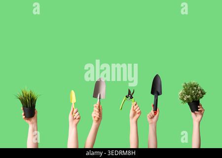 Female hands with different gardening tools and plants on green background Stock Photo
