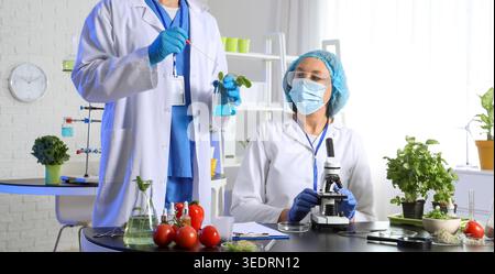Agricultural engineers working with plant samples in laboratory Stock Photo
