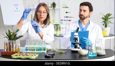 Agricultural engineers working with samples in laboratory Stock Photo