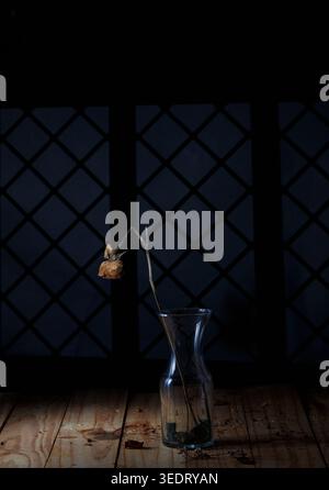 Drooping Dried Rose in Glass Vase on Wooden Floor Dark Background Stock Photo